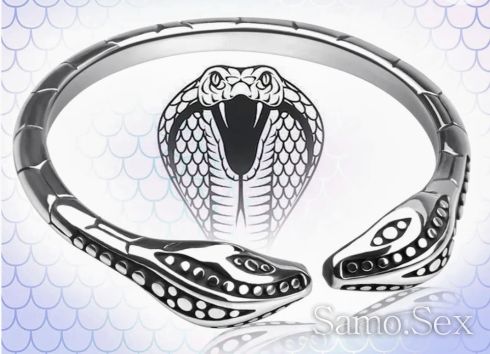 Limited Edition Cock Ring   Безкрайна Змия -  снимка 1
