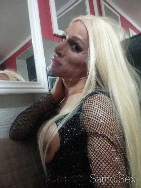 Барби Транс -  снимка 1