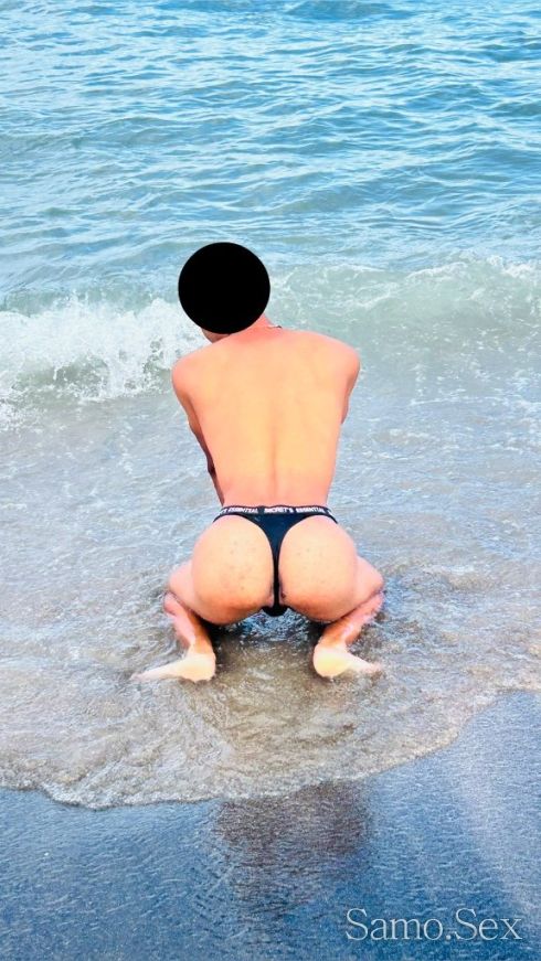 Top trans -  снимка 1