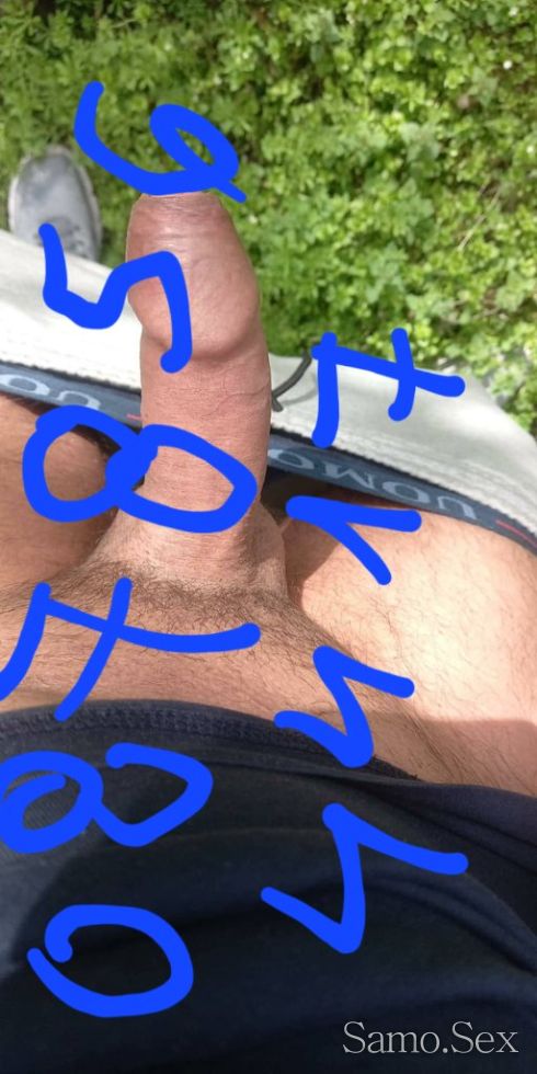 Тьрся палави -  снимка 1