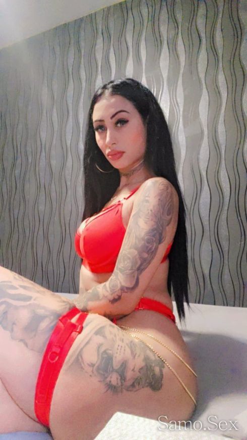 палавата Ванеса -  снимка 1