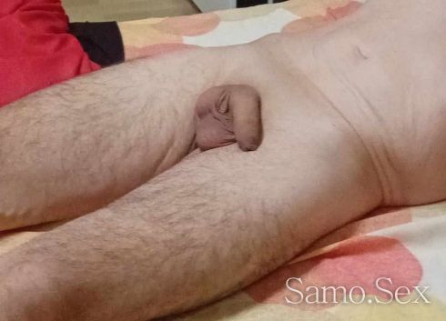 Палави мамчета и батковци -  снимка 1