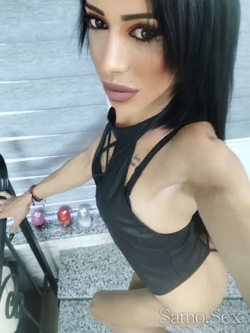 Активна и пасивна Твоята Палавница -  снимка 1