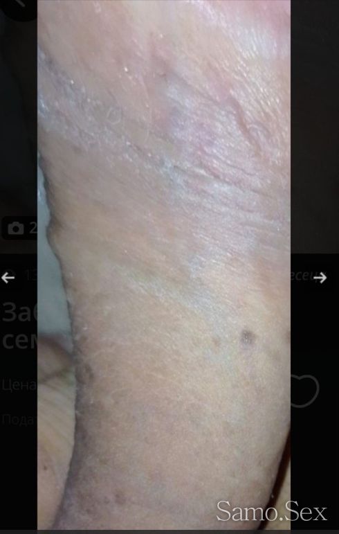 Забавления за семеиства -  снимка 1