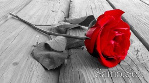 Търся само пасивни момчета -  снимка 1