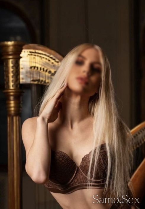 TOP💸NEW💰TRANS -  снимка 1