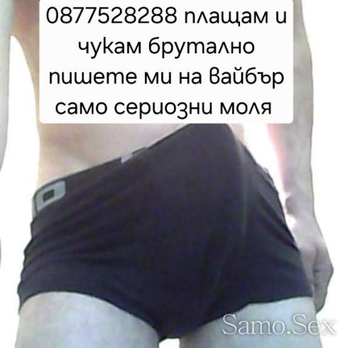 Търся мацка за секс -  снимка 1