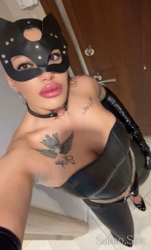 Твоето котенце -  снимка 1