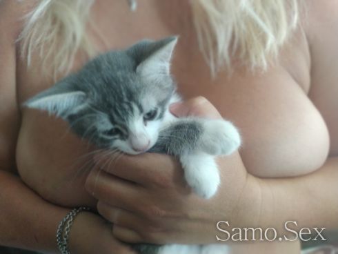 искаш ли да ми погалиш котето?....в града на 24.08, понеделник -  снимка 1