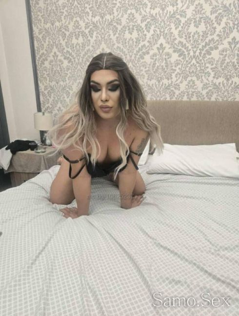 Пишете само на Viber Транс Далия 18 см. В гр.В.Търново -  снимка 2
