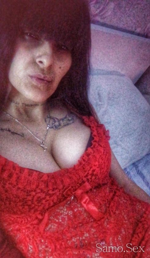 Фъстъчето Бее -  снимка 2