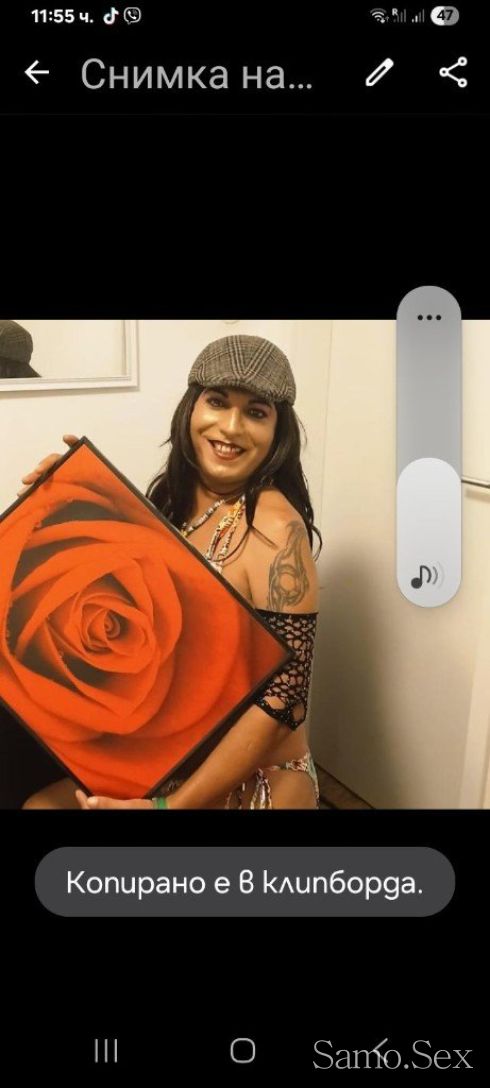 Аз съм Палава мръсница сеска много го обичам! -  снимка 1