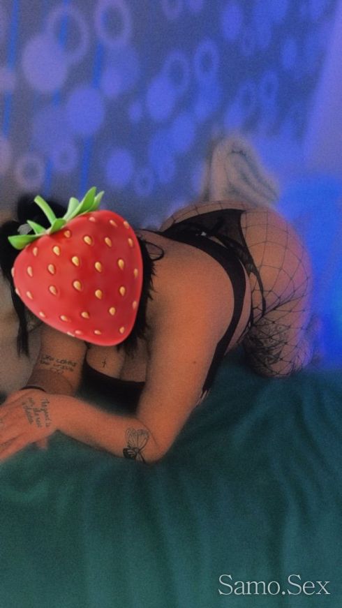 Новото путенце -  снимка 4