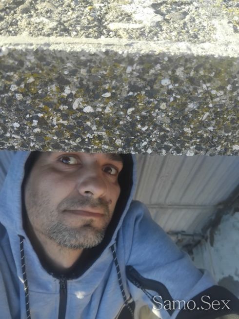 Работа за компанъонки с собствен терен -  снимка 2