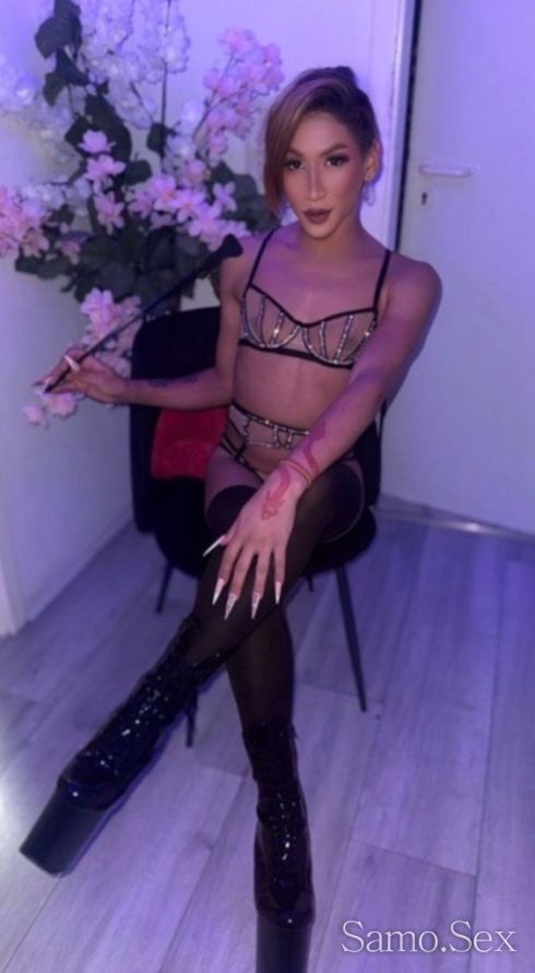 Top trans -  снимка 2