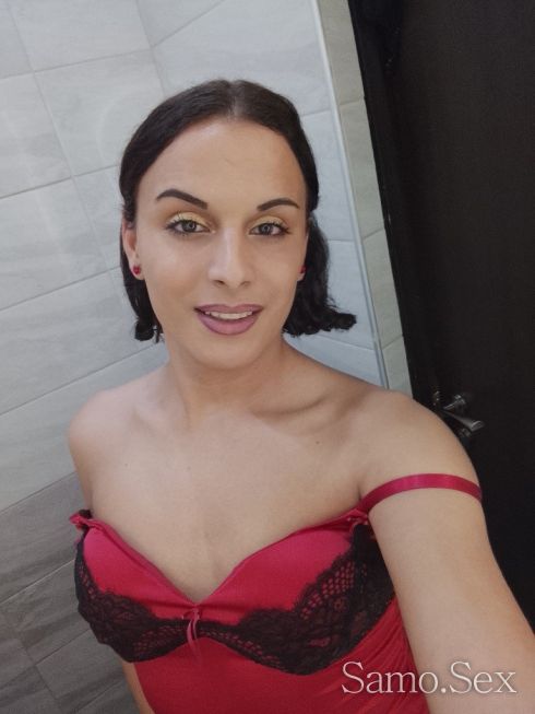 Транс - Коте -  снимка 2