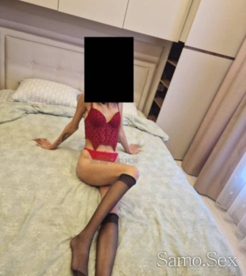 Нова в бранша -  снимка 2