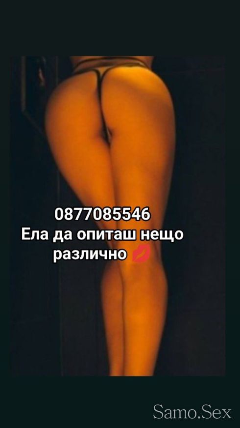 Топ Транс ела да опиташ сладка наслада -  снимка 1