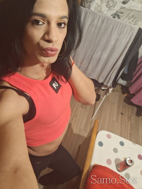 Транс ак и пас -  снимка 15