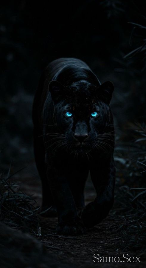 За  палави мадами които обичат дасе чувстват специални -  снимка 1