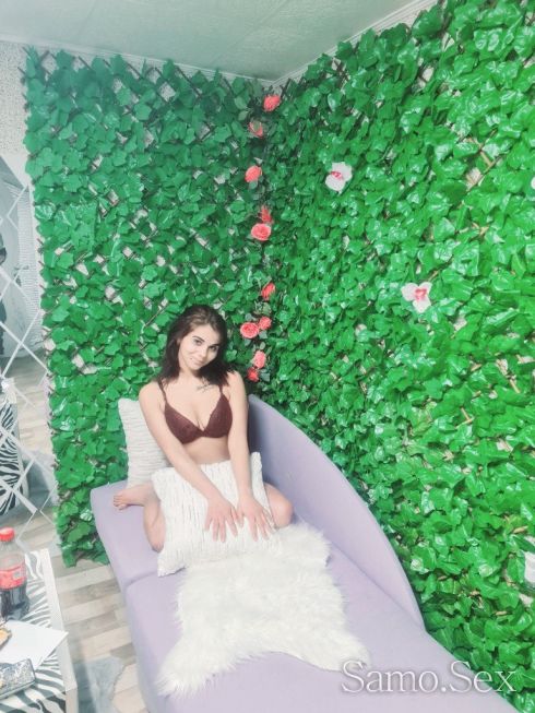 Ted -  снимка 7