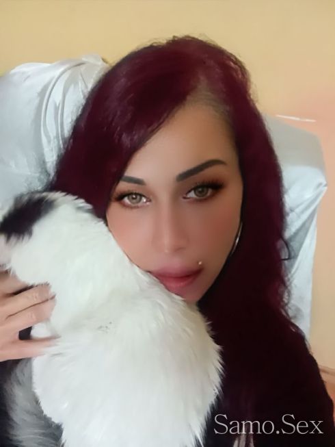 Императорски огнен -  снимка 5