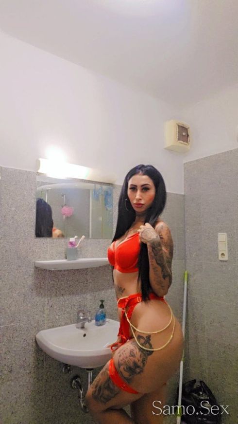 палавата Ванеса -  снимка 4