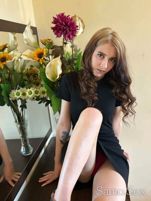 Tvoiata Palavnica -  снимка 3