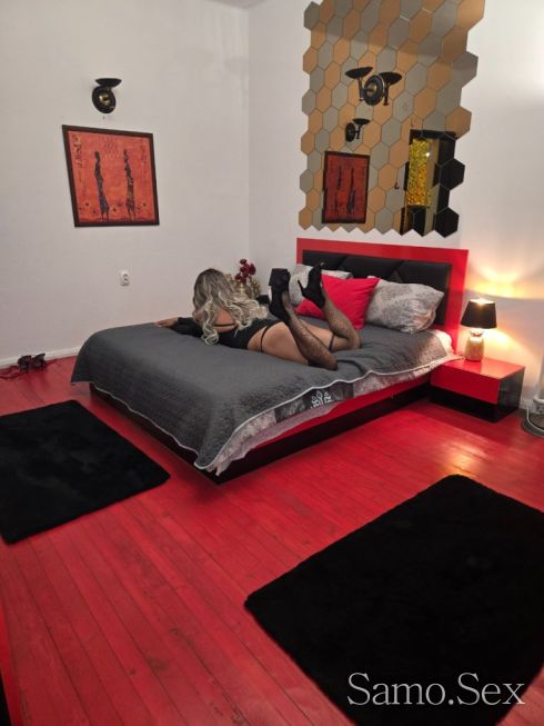 Транс Далия 18 см. В Стара загора от Днес -  снимка 9