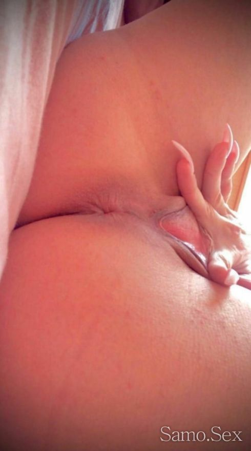 Малка мрасница -  снимка 3