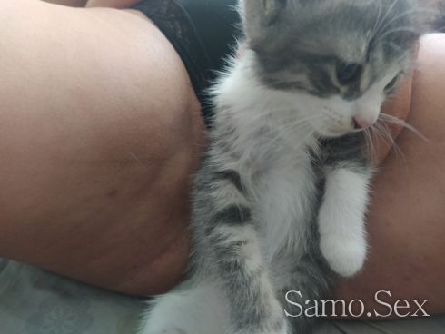 искаш ли да ми погалиш котето?....Само на твой терен -  снимка 2
