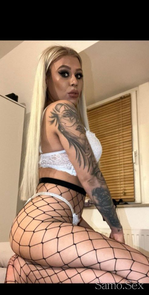 Палавница -  снимка 2