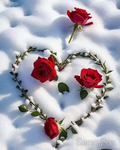 Само за сериозни дами -  снимка 1