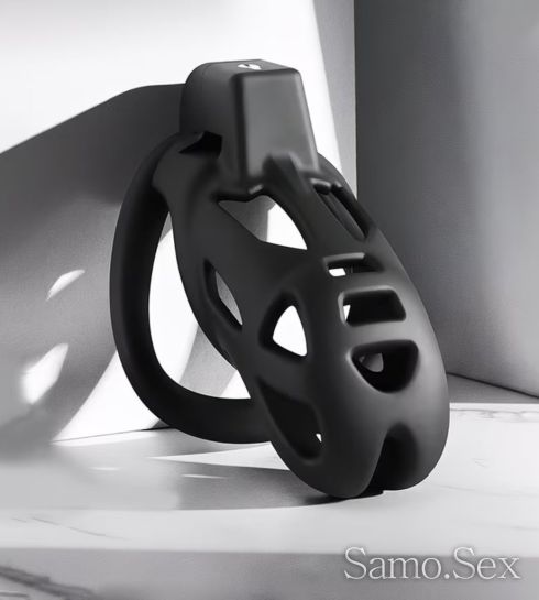 Penis cell, пенис клетка -  снимка 2