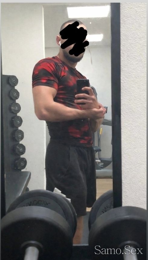 Млад жребец -  снимка 1