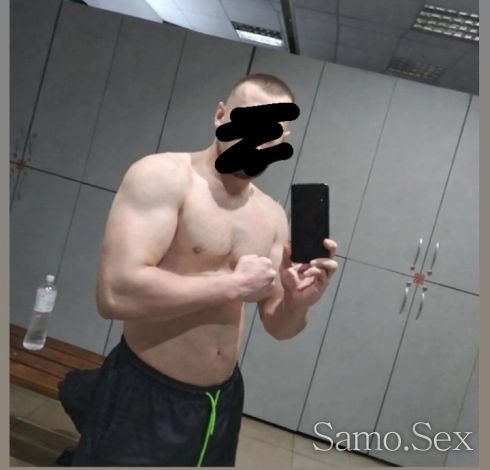 Млад жребец -  снимка 2