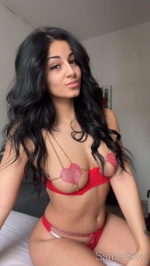 Нова палавница -  снимка 4