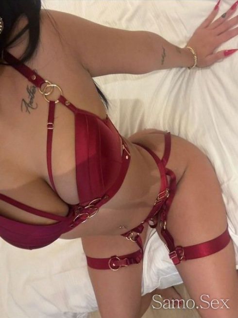 Нова палавница -  снимка 7