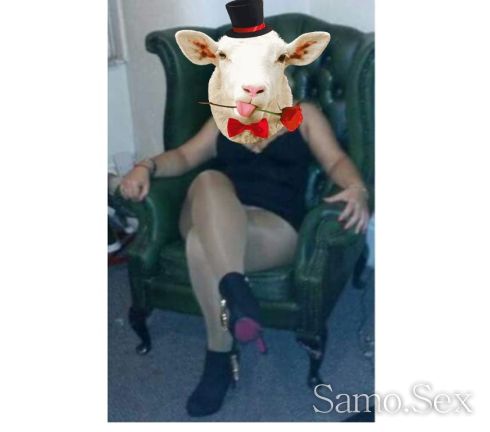 Ела да се позабавляваме -  снимка 3