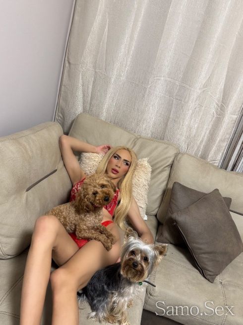 Тук ти определяш правилата -  снимка 5