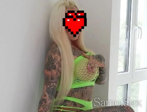 Секси палаво коте -  снимка 1