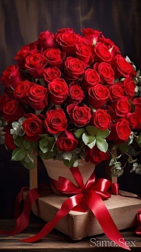 Лижа,Дискретно -  снимка 3