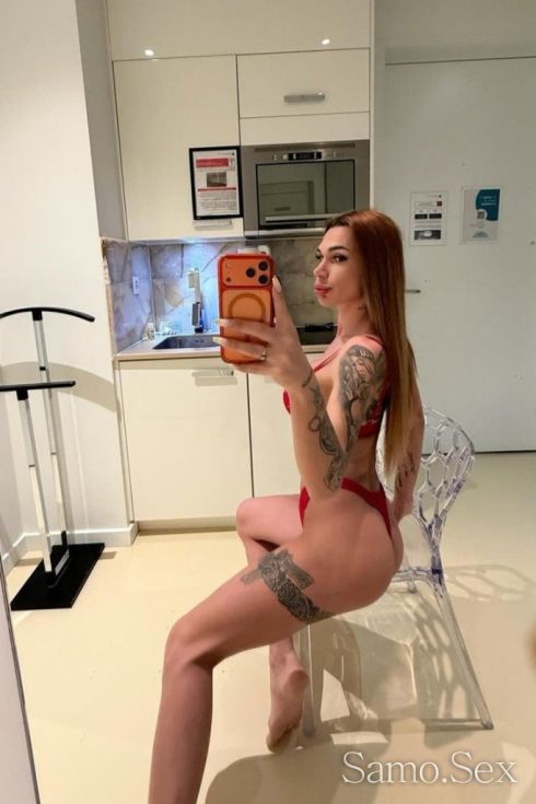 Schamale ts -  снимка 2