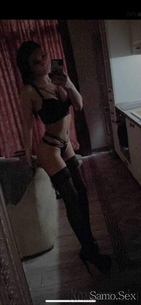 Сиса -  снимка 4