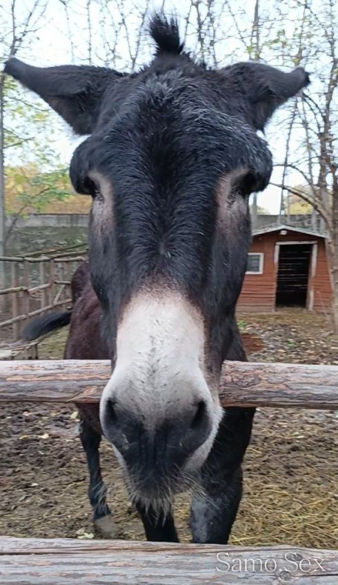 Всичко без кондом със всички болести заповядаите15 веро промоция -  снимка 1
