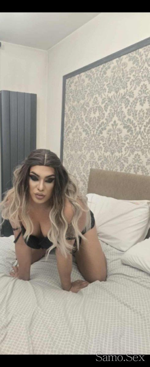 Само за 3 дни в центъра на Пловдив очаквам ви котарацета!!! -  снимка 1